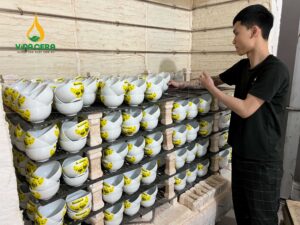 xưởng sản xuất bát đĩa in logo