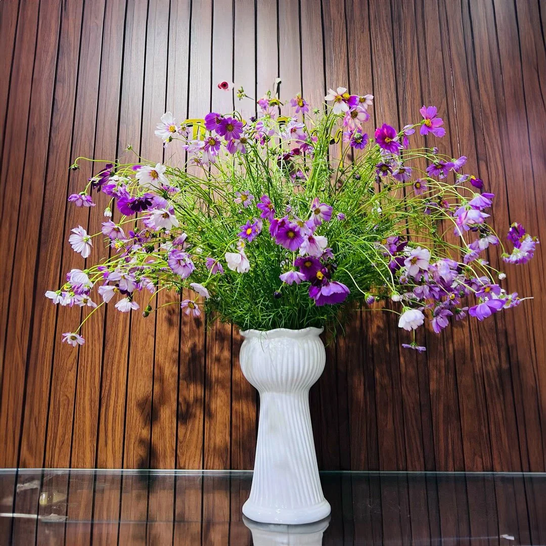 Gốm Sứ Việt – cửa hàng sứ Minh Châu đáng tin cậy binh hoa su trang